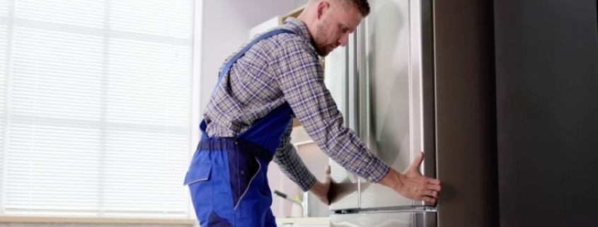 Kaynaşlı Regal Servisi